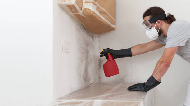 Professional Crawl Space Mold Removal technician working in Crocheron, MD